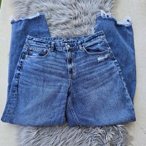 American Eagle Curvy Straight Jeans Size 12